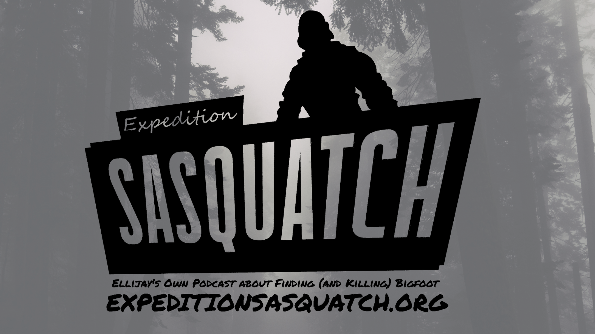 Expedition Sasquatch logo with a gray background and black text